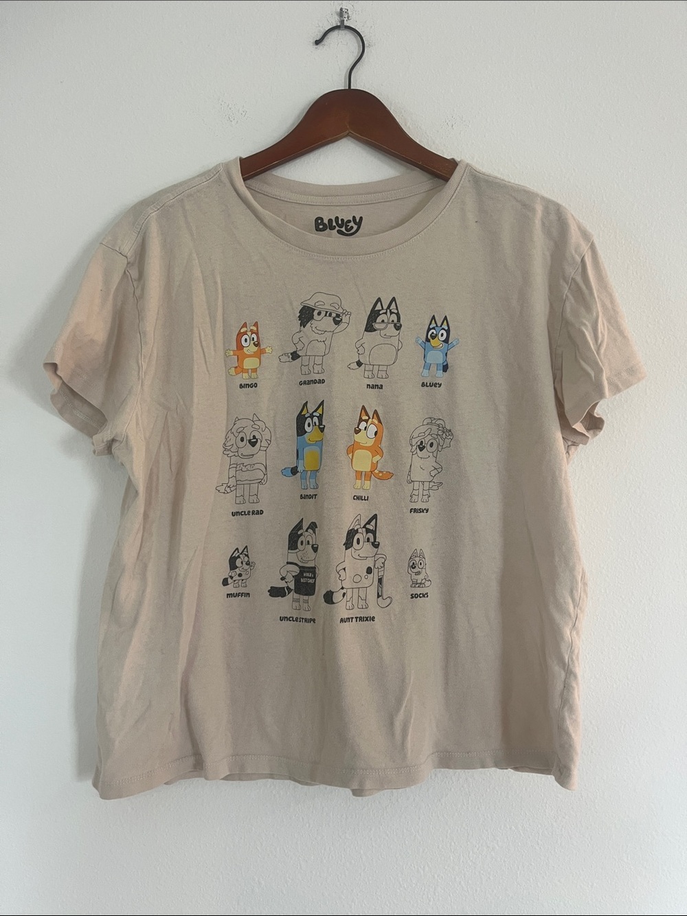 Bluey Cream Short Sleeve Graphic T-Shirt